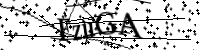 Por favor, escriba las letras y los números siguientes