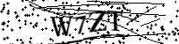 Por favor, escriba las letras y los números siguientes