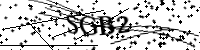 Por favor, escriba las letras y los números siguientes