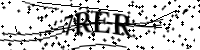 Por favor, escriba las letras y los números siguientes