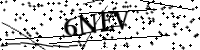 Por favor, escriba las letras y los números siguientes