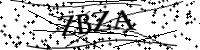 Por favor, escriba las letras y los números siguientes