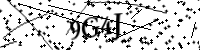 Por favor, escriba las letras y los números siguientes