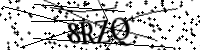 Por favor, escriba las letras y los números siguientes