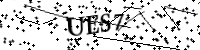 Por favor, escriba las letras y los números siguientes