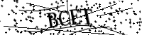 Por favor, escriba las letras y los números siguientes