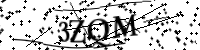 Por favor, escriba las letras y los números siguientes