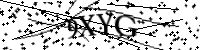 Por favor, escriba las letras y los números siguientes