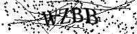 Por favor, escriba las letras y los números siguientes