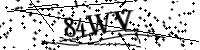 Por favor, escriba las letras y los números siguientes