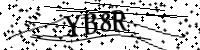 Por favor, escriba las letras y los números siguientes