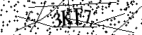 Por favor, escriba las letras y los números siguientes