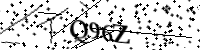 Por favor, escriba las letras y los números siguientes