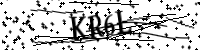 Por favor, escriba las letras y los números siguientes