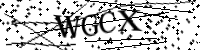 Por favor, escriba las letras y los números siguientes