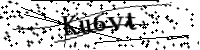 Por favor, escriba las letras y los números siguientes