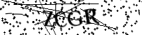 Por favor, escriba las letras y los números siguientes