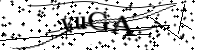 Por favor, escriba las letras y los números siguientes