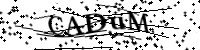 Por favor, escriba las letras y los números siguientes
