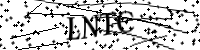 Por favor, escriba las letras y los números siguientes