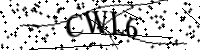 Por favor, escriba las letras y los números siguientes