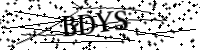 Por favor, escriba las letras y los números siguientes