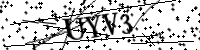 Por favor, escriba las letras y los números siguientes
