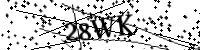 Por favor, escriba las letras y los números siguientes