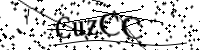Por favor, escriba las letras y los números siguientes