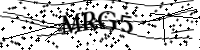 Por favor, escriba las letras y los números siguientes