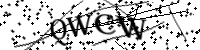 Por favor, escriba las letras y los números siguientes