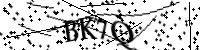 Por favor, escriba las letras y los números siguientes