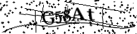 Por favor, escriba las letras y los números siguientes