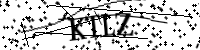 Por favor, escriba las letras y los números siguientes