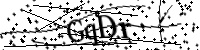 Por favor, escriba las letras y los números siguientes