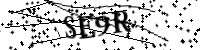 Por favor, escriba las letras y los números siguientes