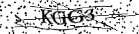 Por favor, escriba las letras y los números siguientes