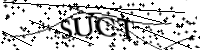 Por favor, escriba las letras y los números siguientes