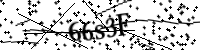 Por favor, escriba las letras y los números siguientes