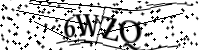 Por favor, escriba las letras y los números siguientes